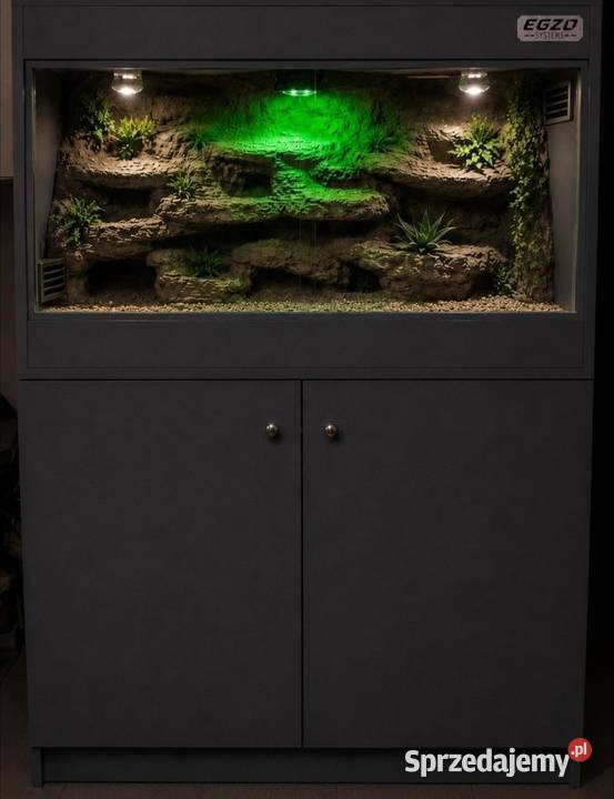 Terrarium pytona regiusa boa cesarskiego Śrem