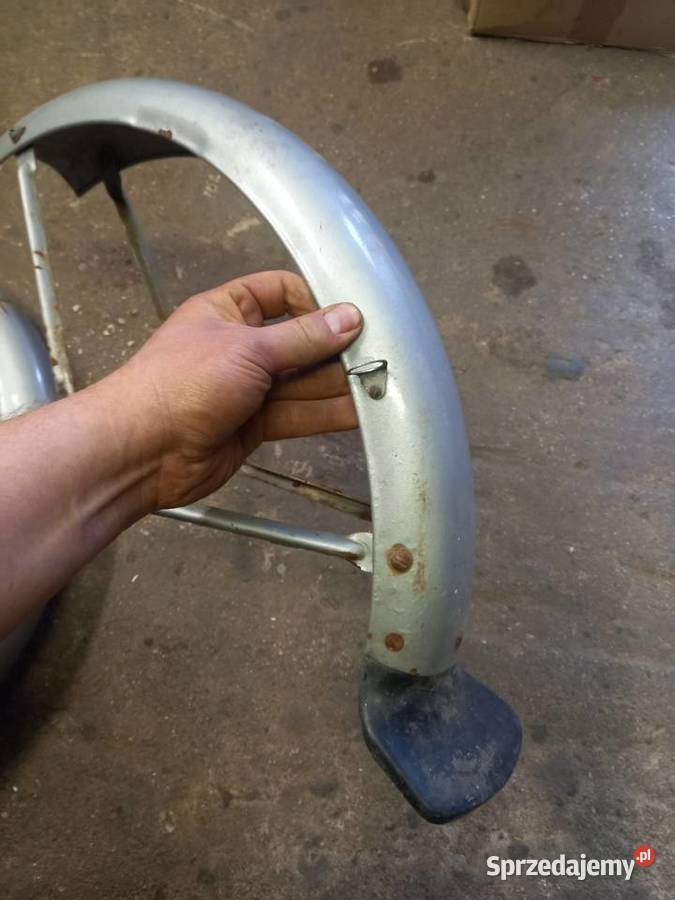 Błotniki romet ogar