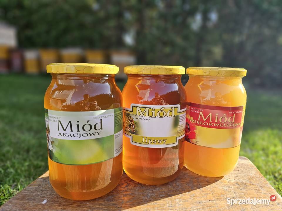 Miodek z przydomowej pasieki Busko-Zdrój