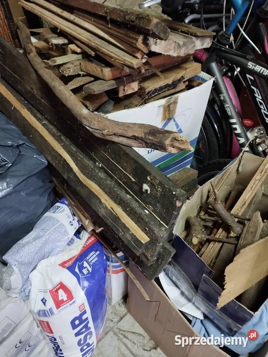 drzewo drewno pieńki na ognisko opał mega wielkopolskie Poznań