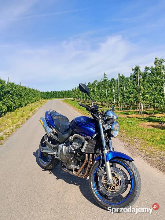 Honda CB600F Hornet A2 Sternalice sprzedam