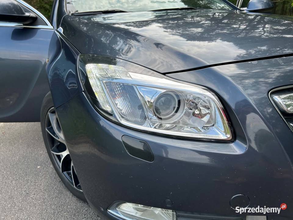 Opel Insignia Górki Duże