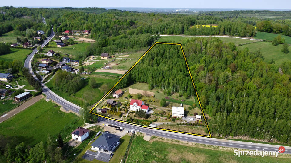 Dwa domy z działką 14 ha na sprzedaż 200m2 podkarpackie Okonin sprzedam
