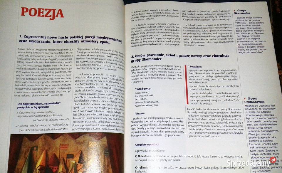 Cogito Język polski 6 Pytania i odpowiedzi Pozostałe Chełm
