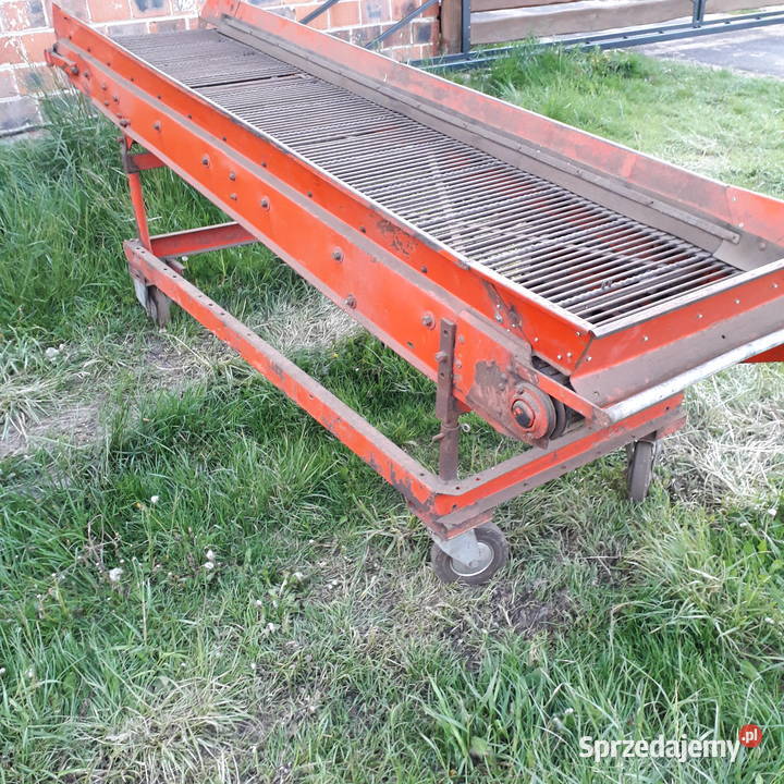 Stół przebierczy podajnik prętowy ziemniak Grabów nad Prosną
