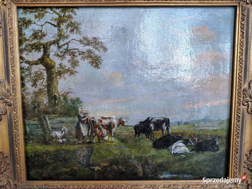 Stary obraz Krowy Kartuzy