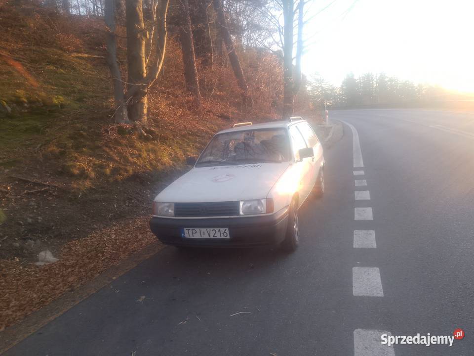 OkazjA Rodzynek ostatni w tym sezonie Polo sprowadzony Polo Jelenia Góra