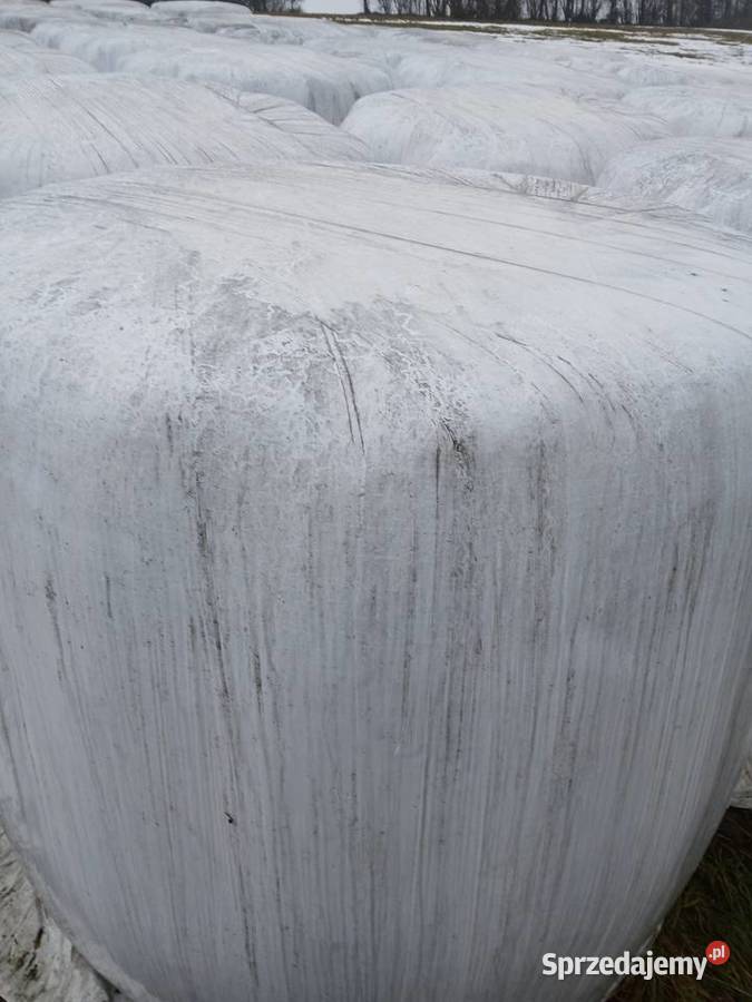 Sprzedam baloty sanokiszonki Nowy Sącz sprzedam