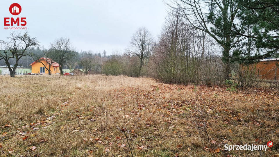 Działka Harsz 2366m2 74zł/m2 Pieńki