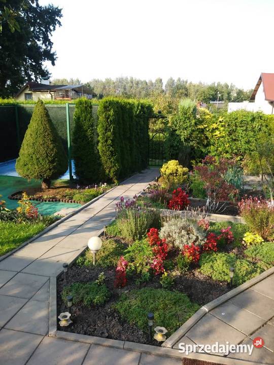 Sprzedam działkę rekreacyjną Żory sprzedam