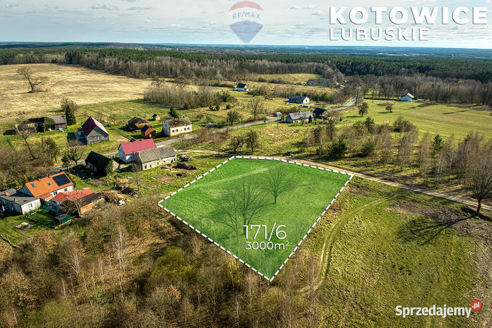 Działka w Kotowicach z warunkami zabudowy 3000m2 polna Kotowice