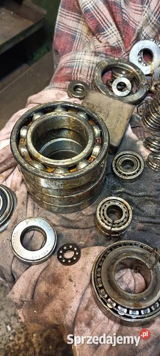 Łożysko Łożyska różne rozmiary Złotniki Kujawskie