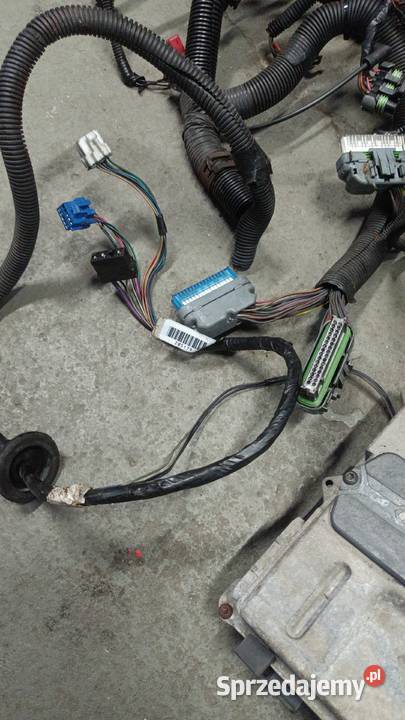 Instalacja elektryczna Silnika Pontiac Firebird Sępólno Krajeńskie