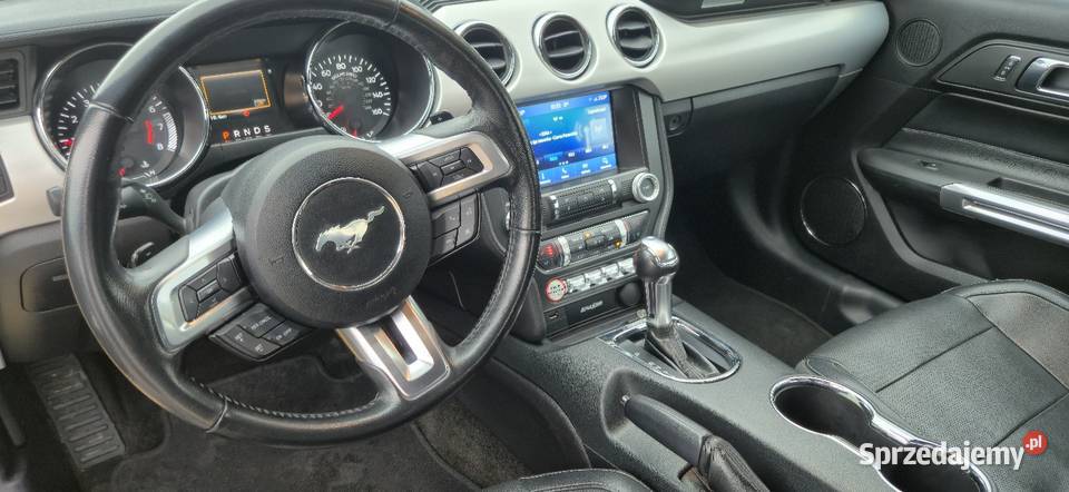 Ford Mustang VI 23 ecoboost Mustang Mrozy