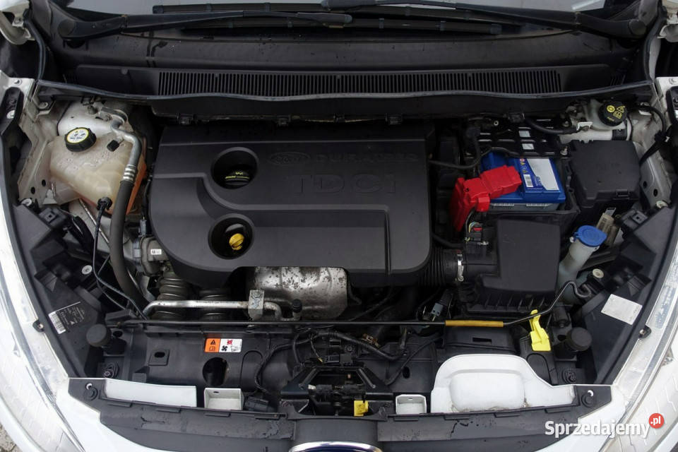 Ford B 16 Super Stan GWARANCJA Zakup Door To Motoryzacja Płońsk