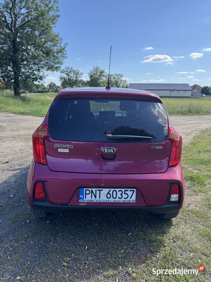 Kia Picanto 10 benzyna 66 2016 109 884 Rok produkcji 2016 Samochody osobowe wielkopolskie Zbąszyń