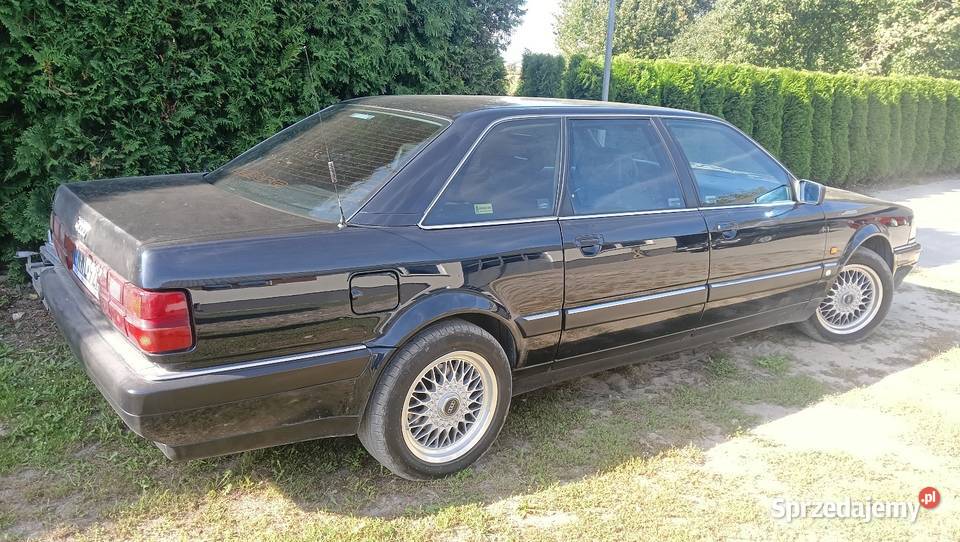 Audi V8 d11 Long 42 Krasnystaw