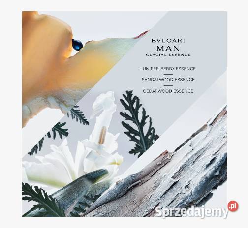 Perfumy męskie Bvlgari Glacial Essence doskonałe Białystok