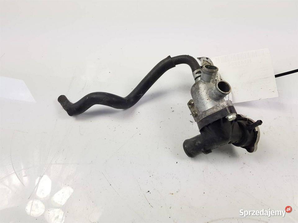 TERMOSTAT SUZUKI GSF Pozostałe Lipno