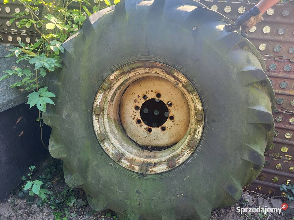 Koło do bizona 23126 Koło 120020 dolnośląskie Legnickie Pole