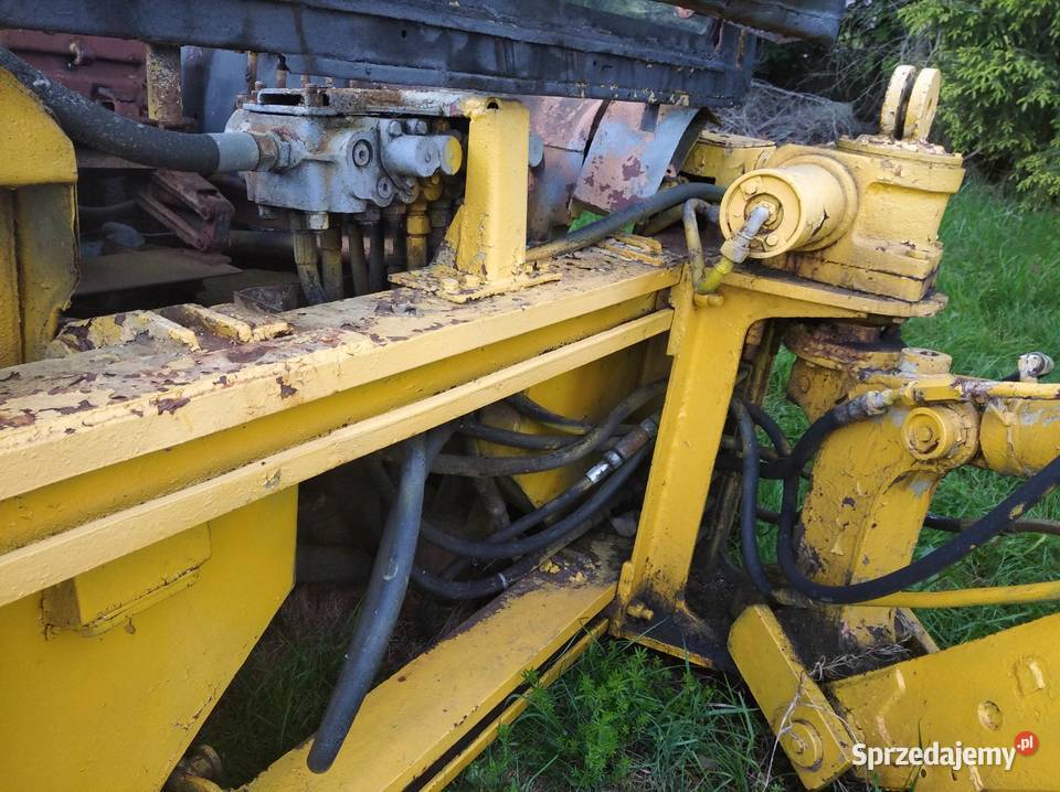 Ostrówek w zlomu Mirsk