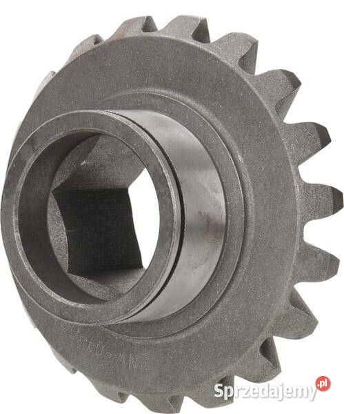 Koło zębate Z19 M6 ZNW01005M6 małopolskie Kamionna