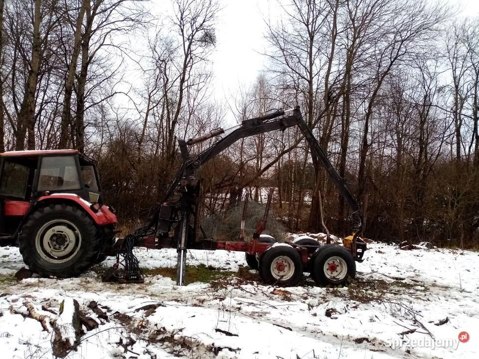 Hds lesny przyczepa lesna Leśnictwo Tyczewo sprzedam