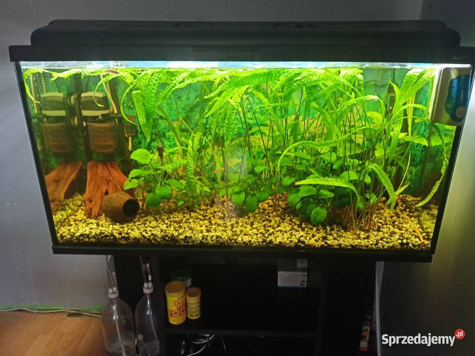 akwarium kompletne Czeladź