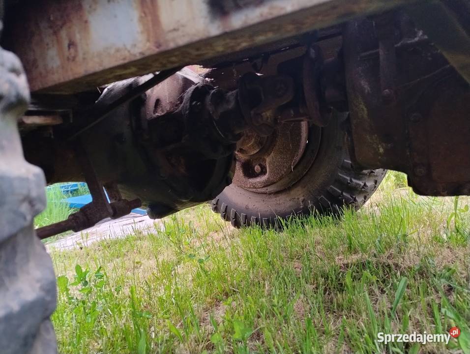 Es Papaj 18 Końskie