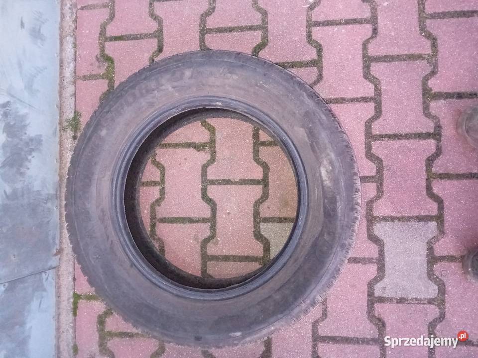 Opony zimowe dunlop 21560r16