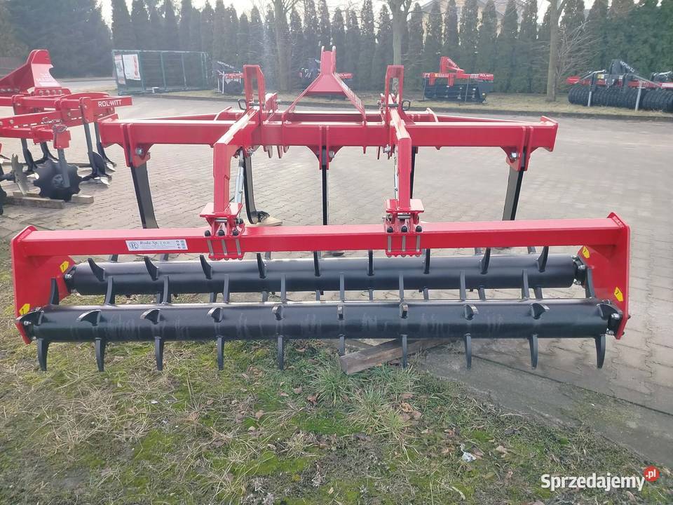 Głębosz 5 łap Września sprzedam