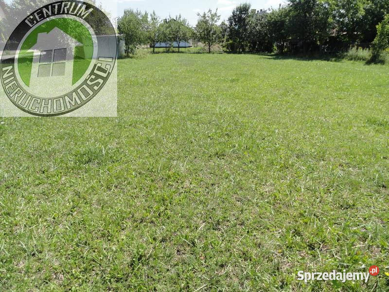 sprzedaży działki 1000m2 Brzezna Sprzedaż