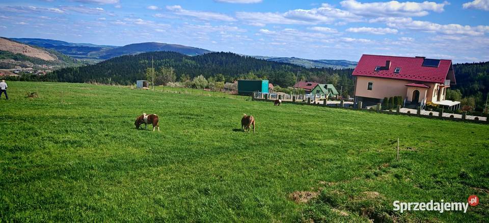 Działka budowlana w Trzetrzewinie Trzetrzewina