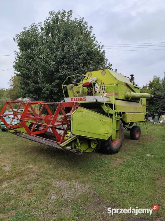 Claas mercator 50 Claas Zbożowe świętokrzyskie Domaradzice