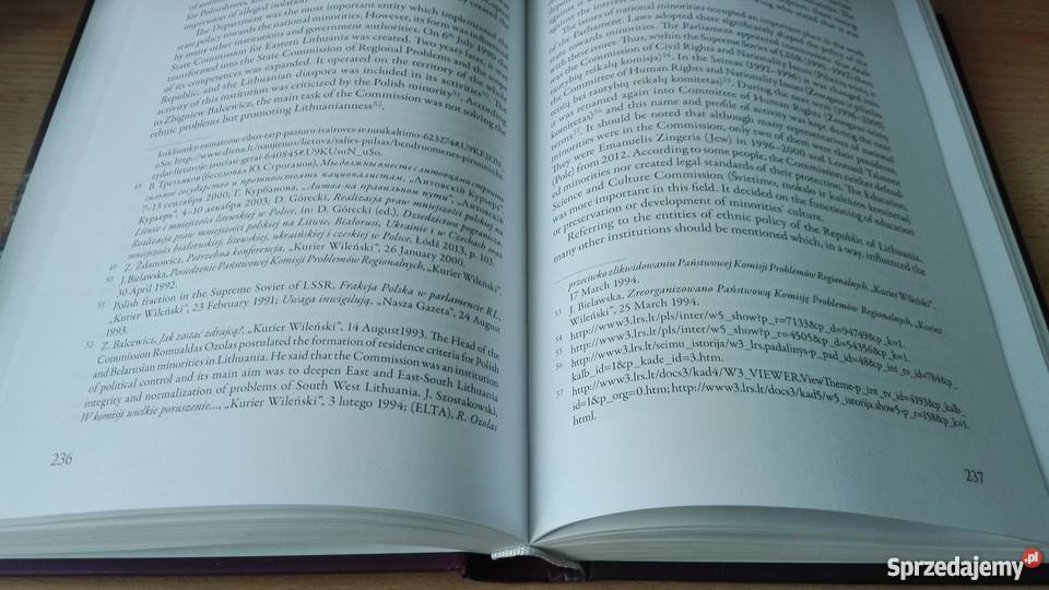 Ethnic policy in contemporary East Central politologia, stos. międzynarodowe Gdańsk