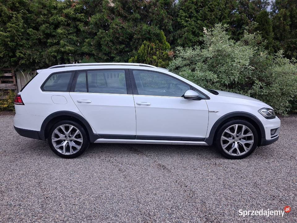 Volkswagen Golf VII Alltrack 18 tsi 4motion Kielce
