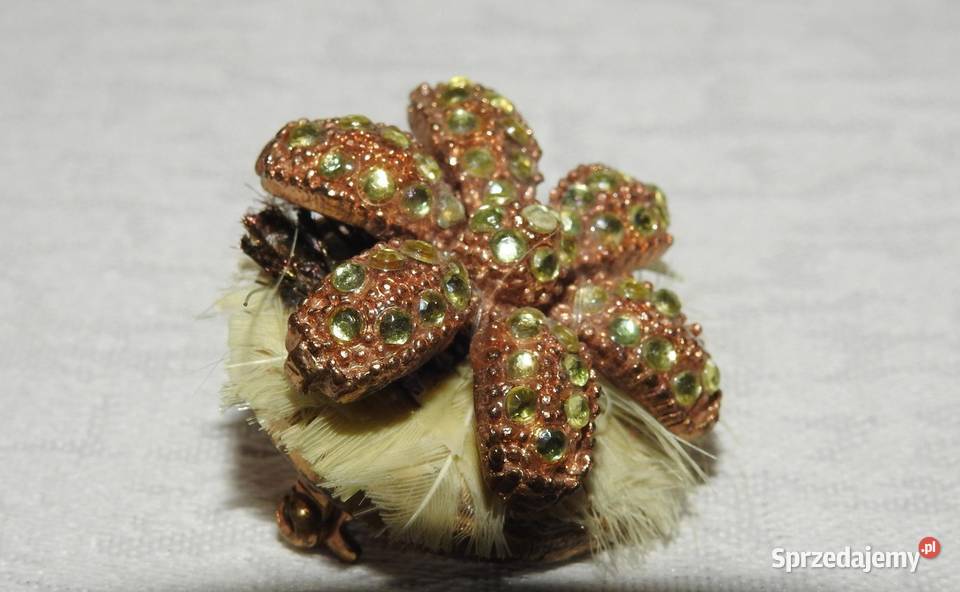 Broszka z kryształkami pozłacane Przemyśl