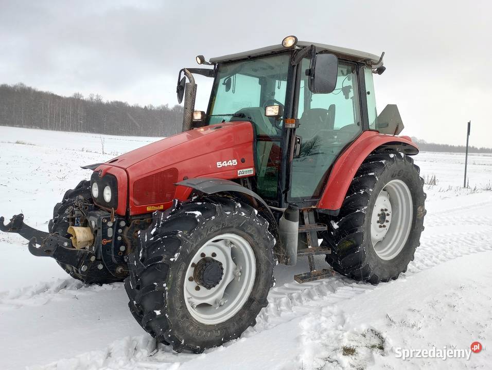 Massey Ferguson 5445 sprzedam