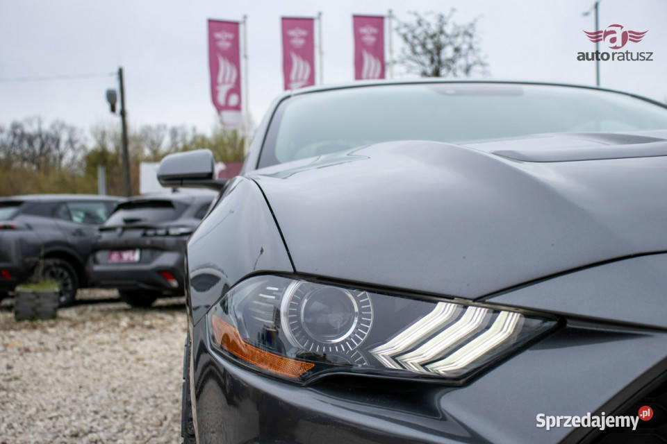 Ford Mustang Prywatna 23 Benzyna 317 Świetny mazowieckie Warszawa