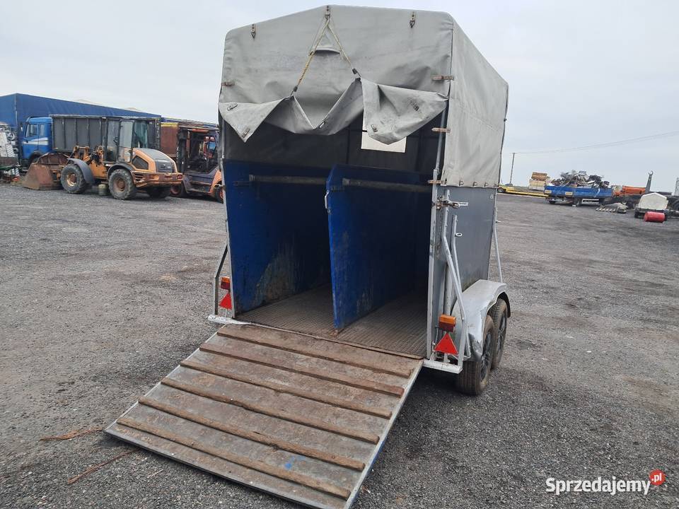 Przyczepa do koni 2 Do przewozu koni Mogilno