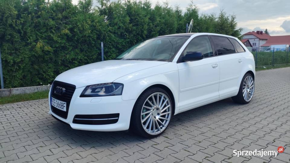 Audi A3 8P 20TDI 140 ESP Rzeszów