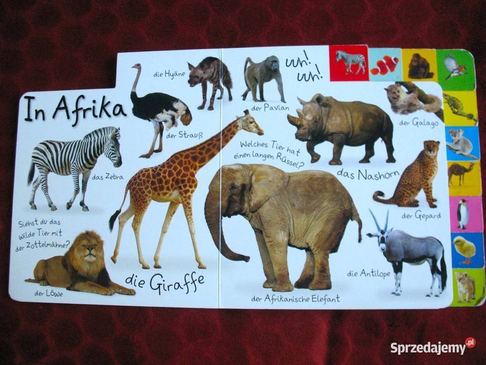 Poznajemy zwierzęta Erstes Lernen Tiere książka twarda Siedlce