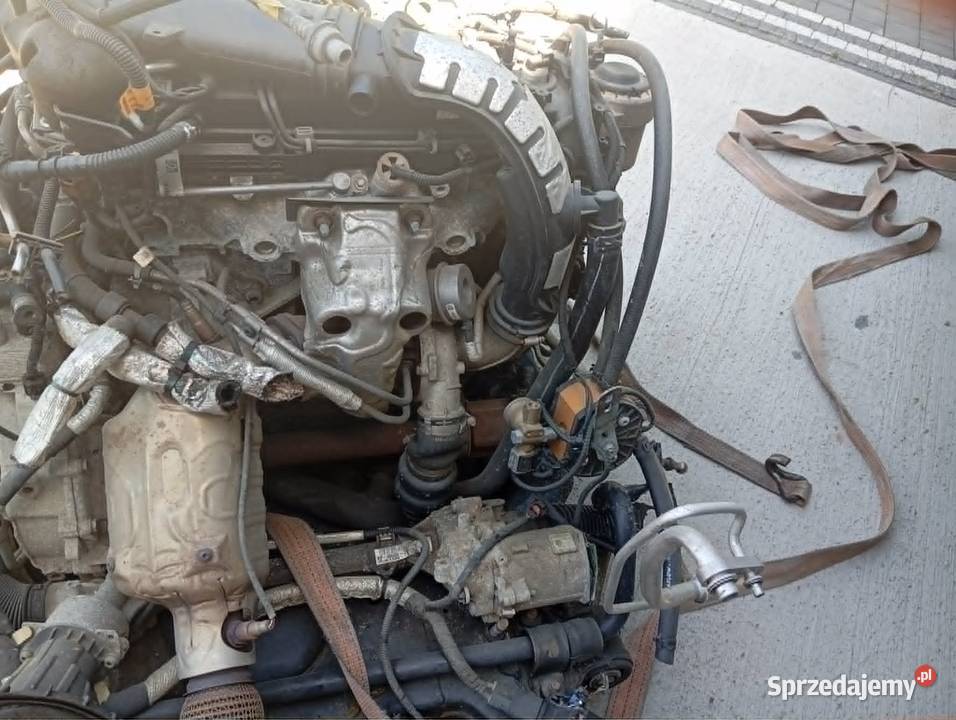 silnik do forda mondeo mk5 fusion 20 benzyna 240