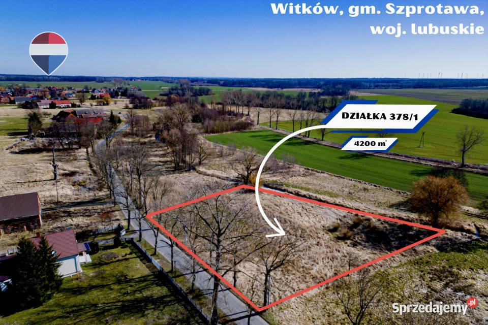 Na sprzedaż działka budowlana 4200 m 14zł/m2 lubuskie Witków