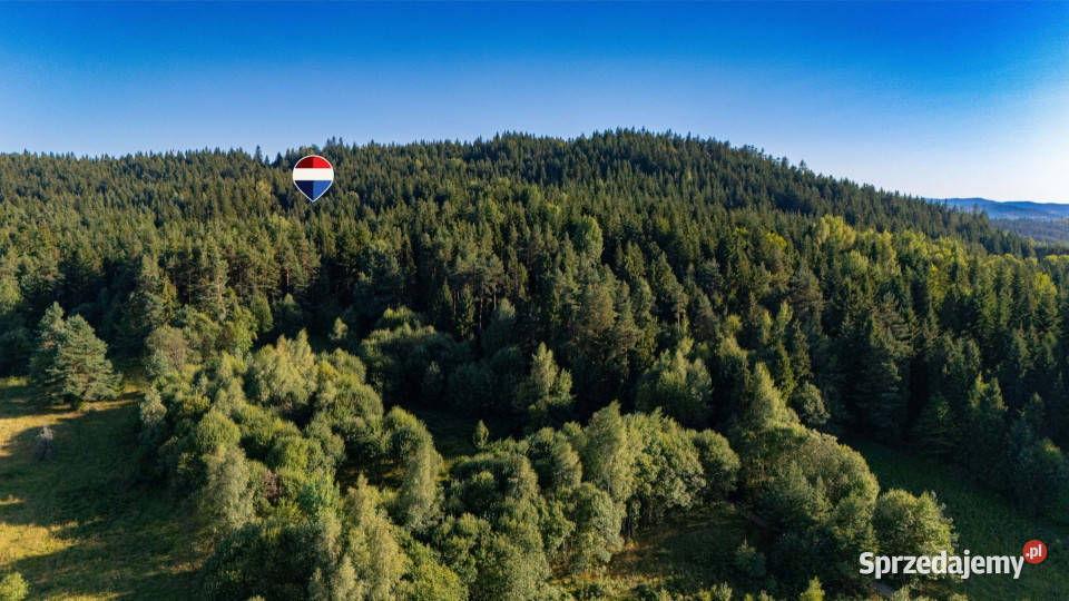 Działka leśna 20 700 m Kasina Wielka sprzedam