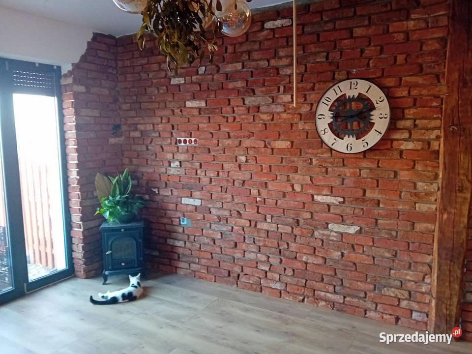 PŁYTKI Z CEGŁY ROZBIÓRKOWEJ STARA CIĘTA CEGŁA Gniezno sprzedam