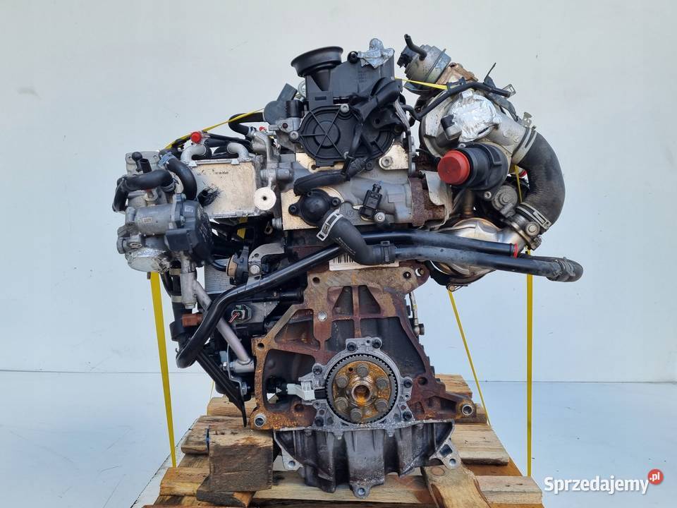 SILNIK KOMPLET Audi A3 III 8V 16 TDI 105 ładnie Rudka