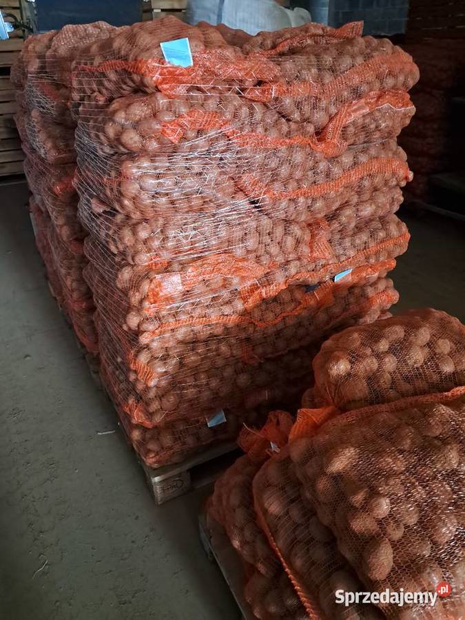 Sprzedam ziemniaki sadzeniaki kwalifikowane