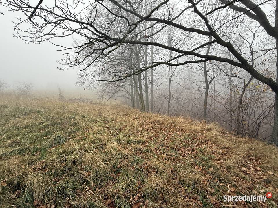 Na sprzedaż wyjątkowa działka 194 ha z domkiem Stoszowice