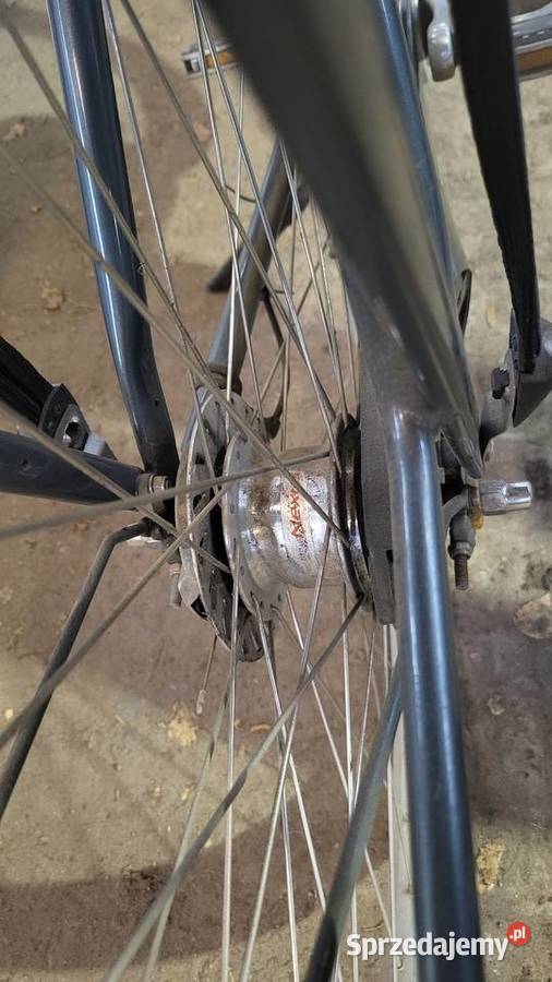 Rower elektryczny Cortina damski Gogolin